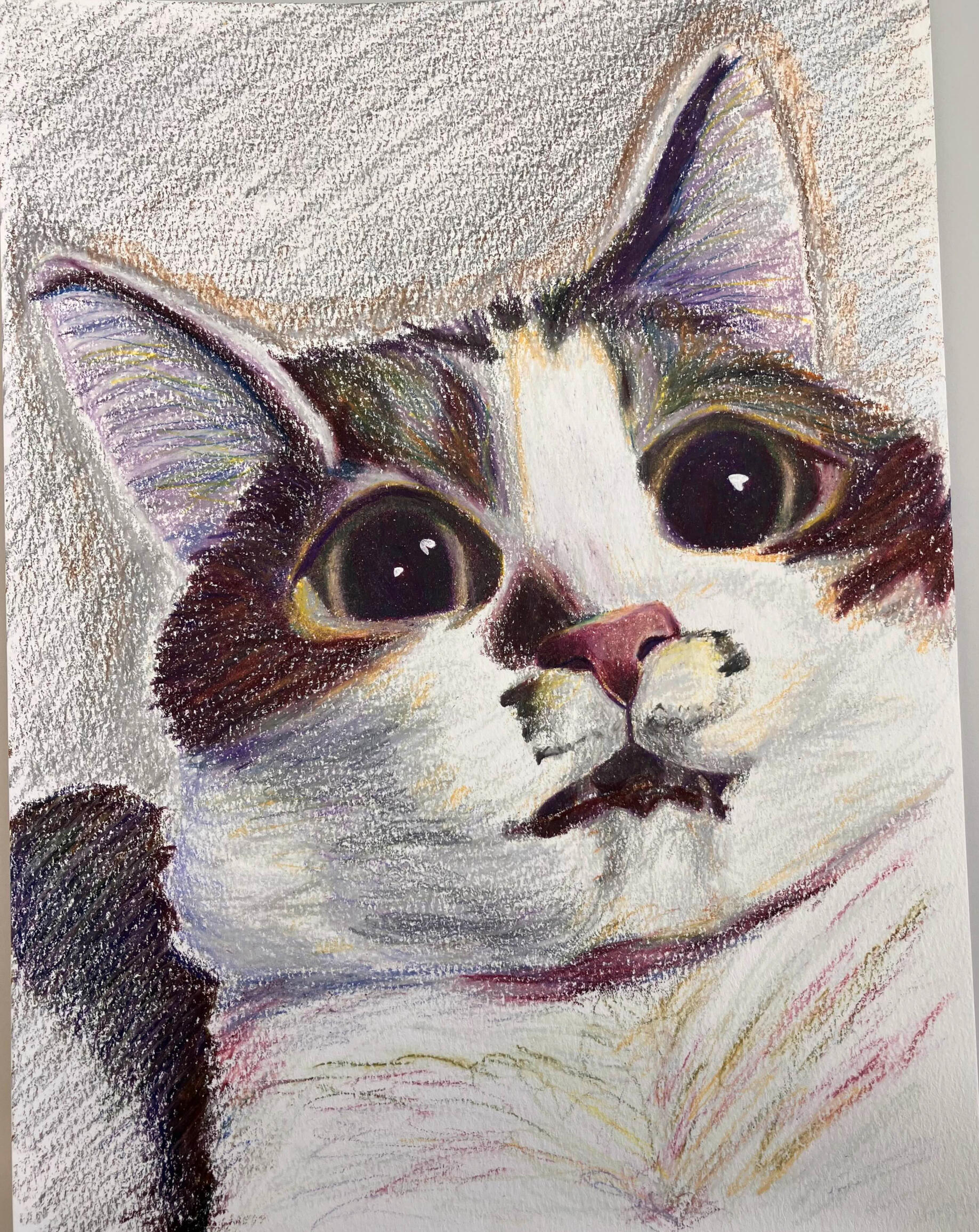Colored Pencil